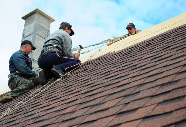 Best Storm Damage Roof Repair  in Albany, GA